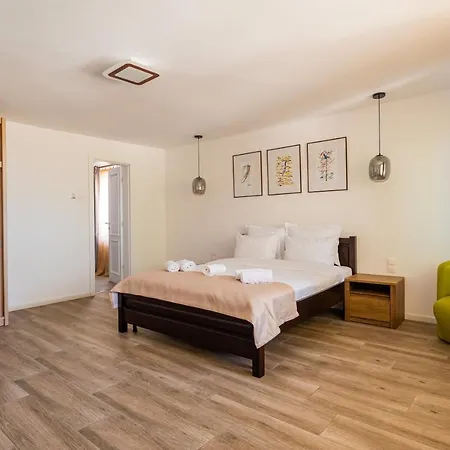 Complex Paloma Coral 3*