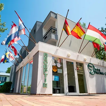 Complex Paloma Coral Mamaia