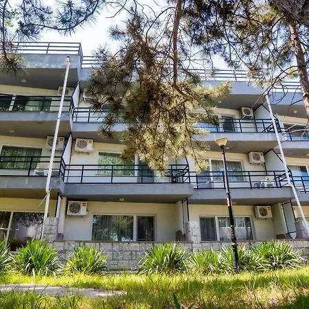 Complex Paloma Coral 3*