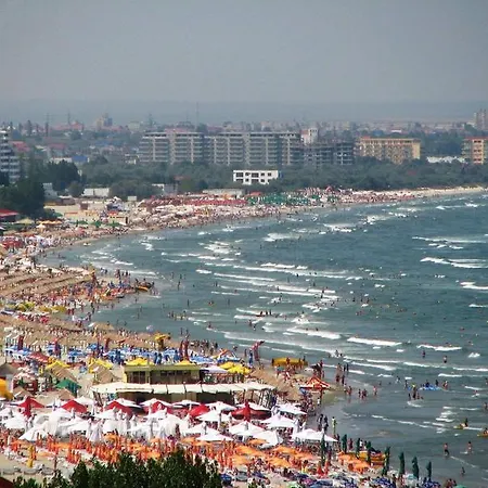 Complex Paloma Coral