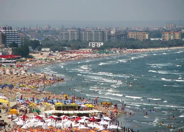 Complex Paloma Coral