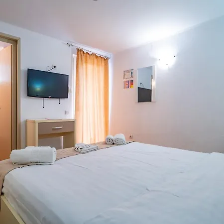 Complex Paloma Coral 3*