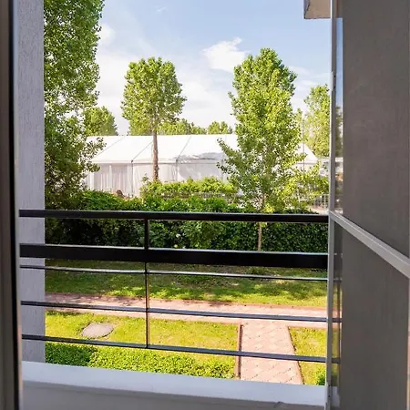 Complex Paloma Coral 3*