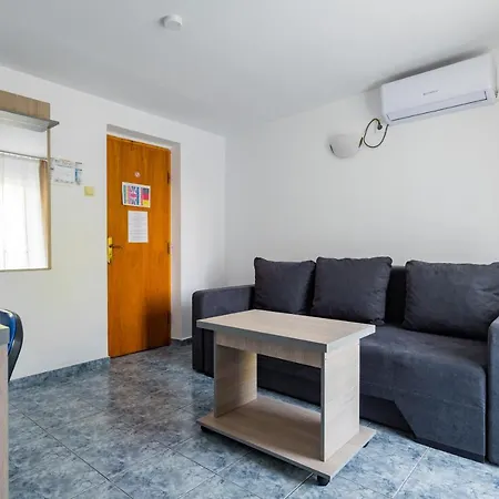 Complex Paloma Coral Мамая