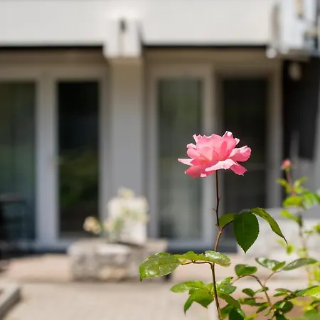 Hotell Complex Paloma Coral