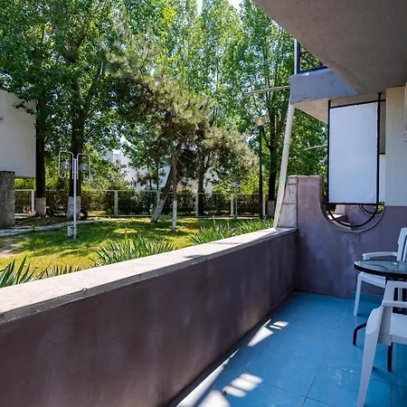 Complex Paloma Coral 3*