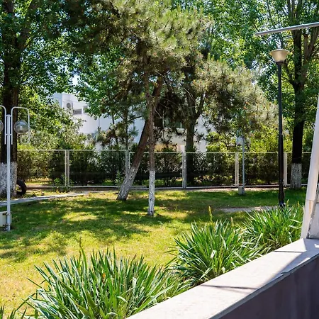 Complex Paloma Coral 3*