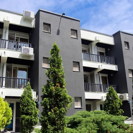 Complex Paloma Coral 3*