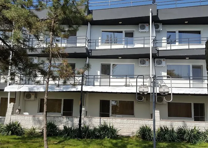 Complex Paloma Coral