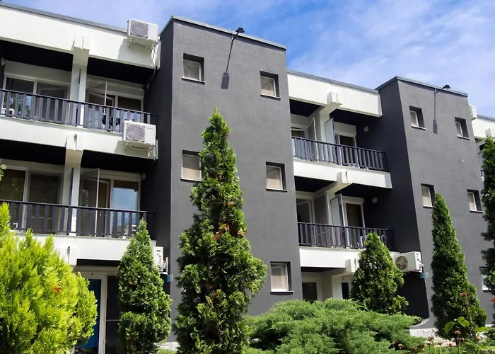 Complex Paloma Coral 3*